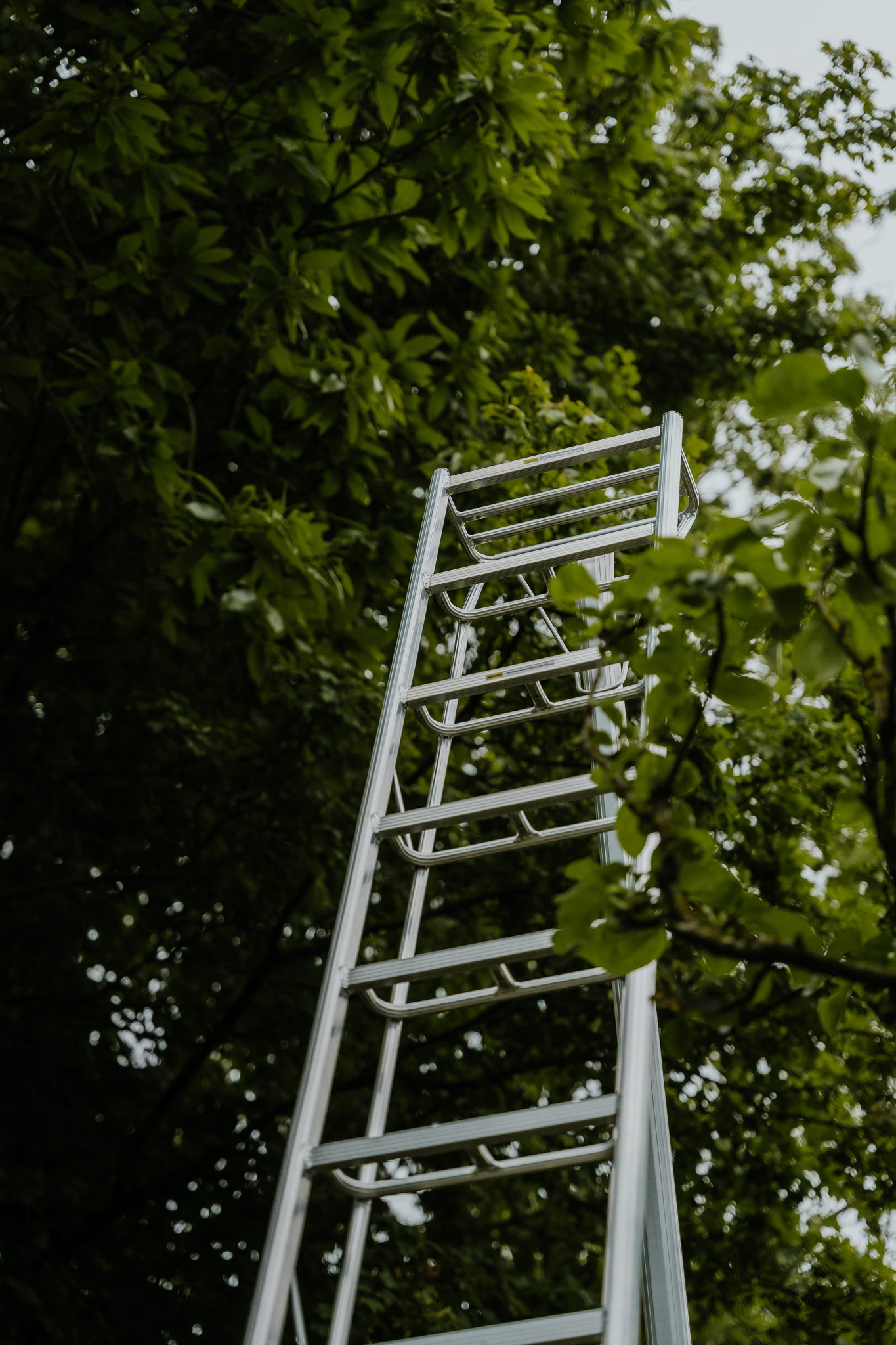 Tripodladder | ANSI | 4,50m