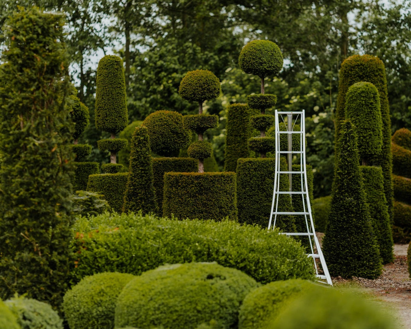 tripodladders-aluminium-tuinieren